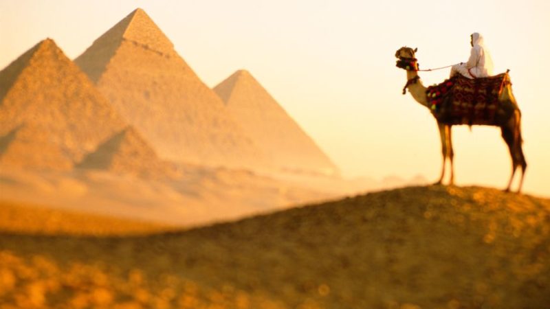 القاهرة